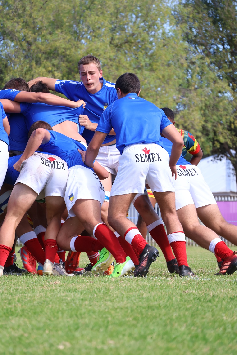 rugby